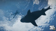 GTA5 070 Shark ScubaDiving