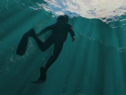 GTA5 129 ScubaDiving