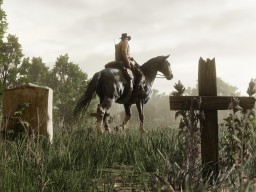 RedDead2 020