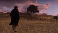 RedDead2 030