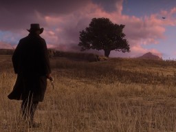 RedDead2 030