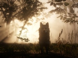 RedDead2 033