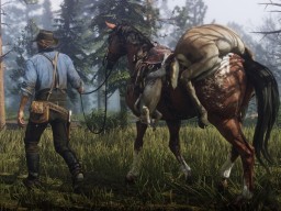 RedDead2 041 Preview