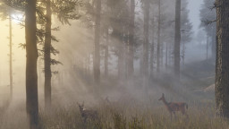 RedDead2 042 Preview