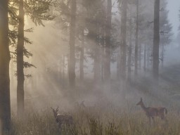 RedDead2 042 Preview