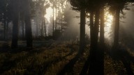 RedDead2 Trailer1 13 Forest