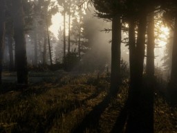 RedDead2 Trailer1 13 Forest