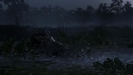 RedDead2 Trailer2 16 Alligator