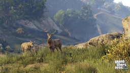 GTA5 NextGen 008 Wildlife Deer