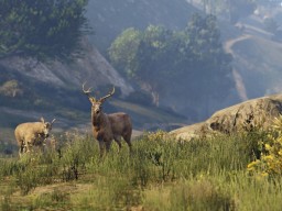 GTA5 NextGen 008 Wildlife Deer