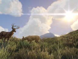 GTA5 NextGen 026 Wildlife