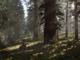 RedDead2 003