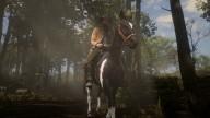 RedDead2 GameplayVideo ArthurMorgan Horse Forest