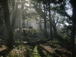 RedDead2 GameplayVideo Forest Bear