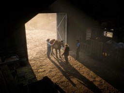 RedDead2 GameplayVideo Horse Town Farm