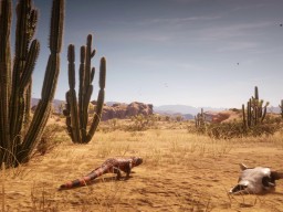 RedDead2 GameplayVideo Landscape Desert Cactus Iguana Skull