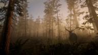 RedDead2 GameplayVideo Landscape Forest Deer