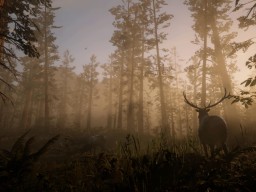 RedDead2 GameplayVideo Landscape Forest Deer