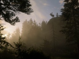 RedDead2 GameplayVideo Landscape Forest Moose
