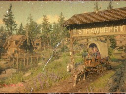 RDR2 Locations Strawberry