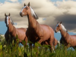 RDR2 Wildlife Screenshot 05
