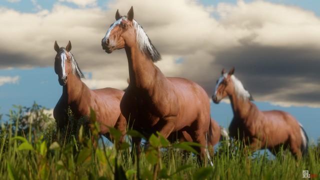 stramt Displacement petulance Red Dead 2: All Horse Breeds in RDR2 & Red Dead Online