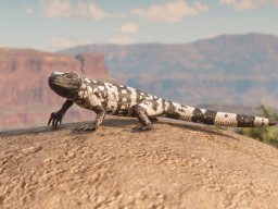 RDR2 Wildlife Screenshot 09