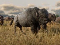 RDR2 Wildlife Screenshot 10