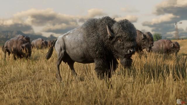 American Bison - RDR2 Animal