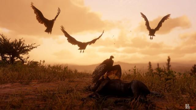 Eastern Turkey Vulture - RDR2 Animal