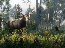RDR2 Wildlife Screenshot 12