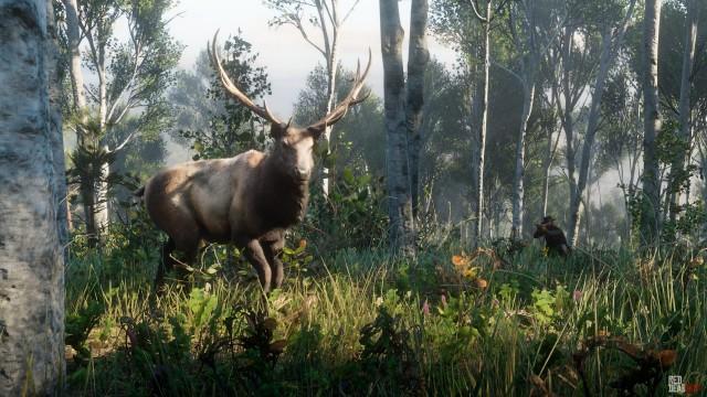 Rocky Mountain Bull Elk - RDR2 Animal