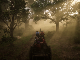 RDR2 GameplayVideoPart2 11 Radar HorseCarriage
