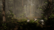 RDR2 GameplayVideoPart2 72 ArthurMorgan Forest Wolf