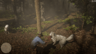 RDR2 GameplayVideoPart2 73 Radar ArthurMorgan Forest Wolf