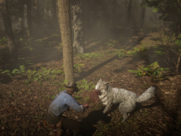 RDR2 GameplayVideoPart2 73 Radar ArthurMorgan Forest Wolf