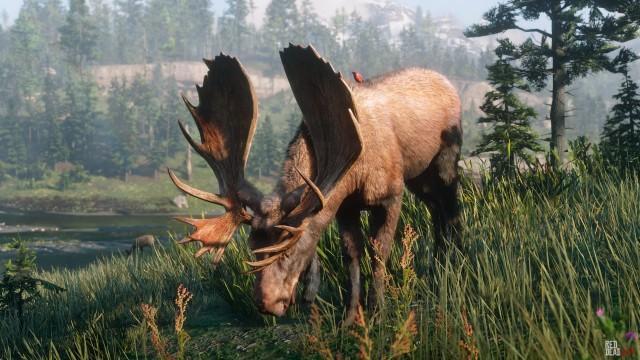 Western Bull Moose - RDR2 Animal