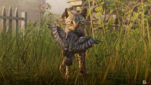 American Domestic Cat - RDR2 Animal American Domestic Cat - RDR2 Animal