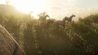 RDR2 Wildlife Screenshot 20