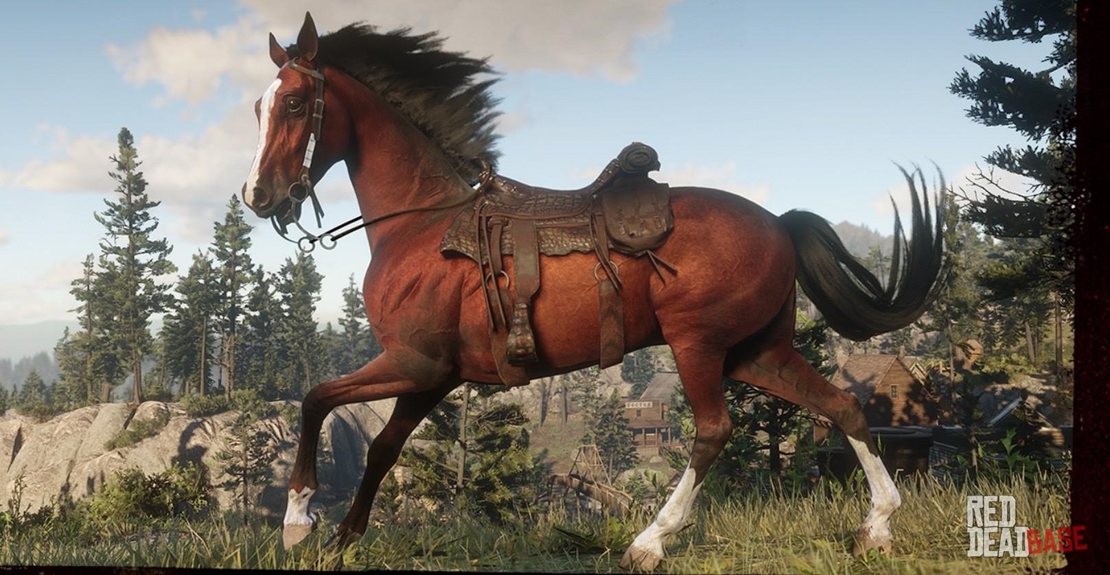 under to uger melodrama Red Chestnut Arabian Horse | RDR2 & Online Horse Stats & Locations