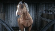 RDR2 Horses AmericanStandardBred PalominoDappleAmericanStandardbred