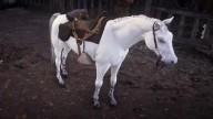 RDR2 Horses ArabianHorse WhiteArabianHorse
