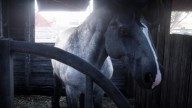 RDR2 Horses Ardennes IronGreyArdennes