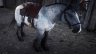 RDR2 Horses Ardennes IronGreyArdennes 2