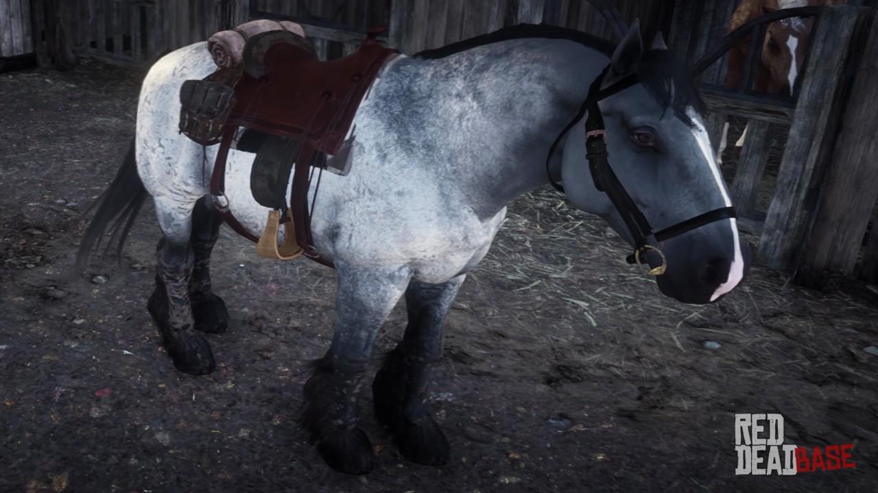 black ardennes horse