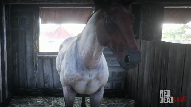 RDR2 Horses DutchWarmblood ChocolateRoanDutchWarmblood