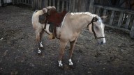 RDR2 Horses MorganHorse PalominoMorganHorse