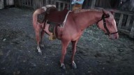 RDR2 Horses RedRoanTennesseeWalker