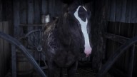 RDR2 Horses Thoroughbred DappledBlackThoroughbred 2