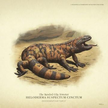Banded Gila Monster - RDR2 Animals | Map Location & Where To Find Banded Gila Monster - RDR2 Animals | Map Location & Where To Find